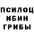 Псилоцибиновые грибы GOLDEN TEACHER 0blomovsk1y