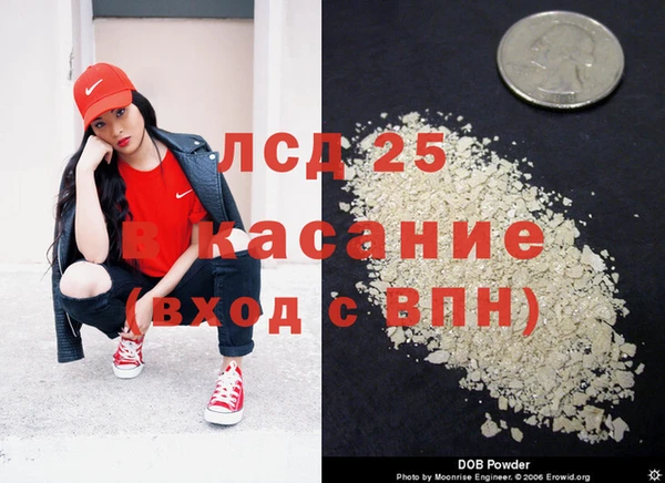 круглые Аркадак
