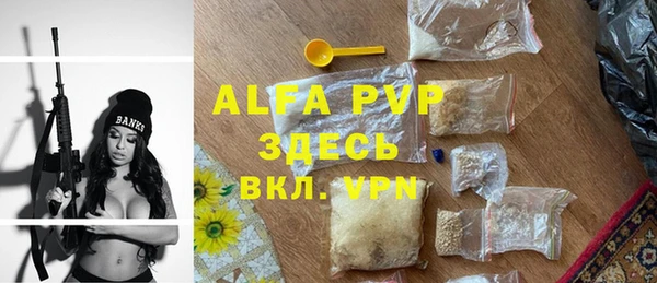 крисы Пересвет